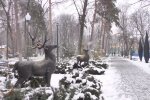 Скрин, видео YouTube