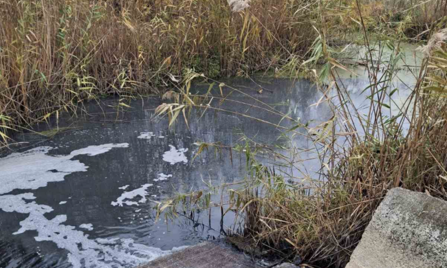 забруднення річки Орчик