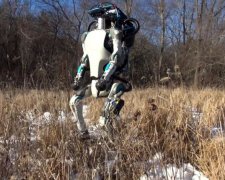 Робота Boston Dynamics на утренней пробежке засекла камера