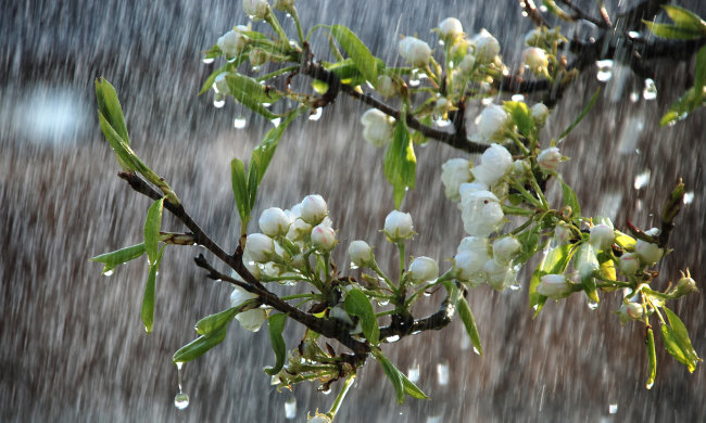 Погода на 9 апреля: подмочит только одну часть Украины