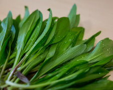 Черемша, фото sovkusom.ru