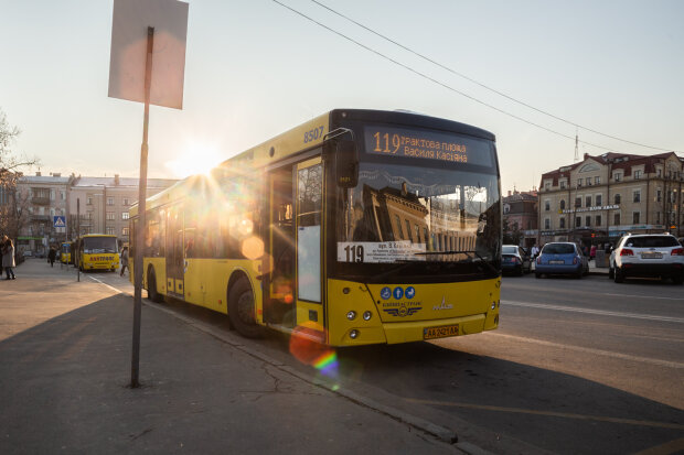 В Киеве дерзкий "автобусник" обматерил пассажиров и высадил на дороге: "Водитель этого автобуса - животное"