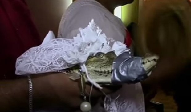 Мексиканский мэр женился на крокодиле (видео)
