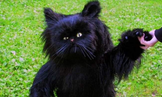 Булгаков перекинувся: кіт з людською мордою зламав голови мільйонам