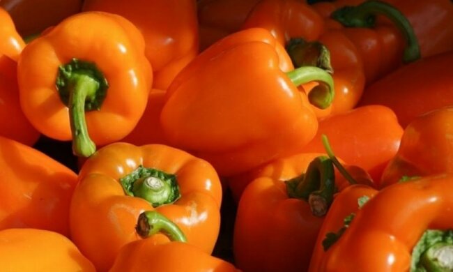 7 продуктів, які рятують життя