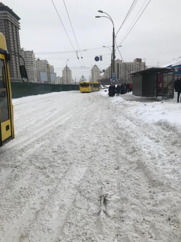 Замети, зима - фото з Фейсбук