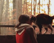 Котячий гороскоп: яка порода підходить вашому знаку Зодіаку