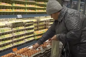 Цены на яйца. Фото: скрин youtube