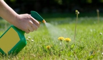 Винахідники знищують бур'яни світлом