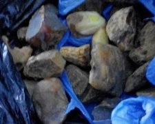 Прикордонники Волині виявили у чоловіка п’ять кілограмів бурштину (фото, відео)