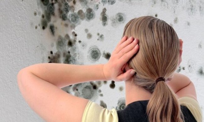 Цвіль і грибок, zoolog