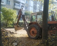 Во Франковске чуть не закопали котят живьем, фото: Суспільне