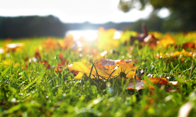 Погода на 20 вересня: осінь взяла вихідний