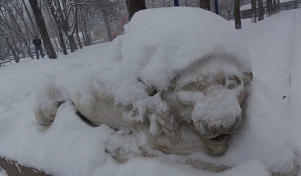 Снег превратил Николаев в зимнюю сказку (фото)