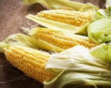 Чим корисні кукурудзяні волокна для жінок