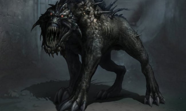 Загадочное неопознанное существо обнаружили посреди улицы: у него длинный хвост, плоская голова с огромными глазами и острые зубы