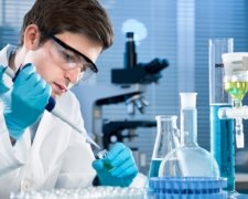 Вчені зможуть виростити серце людини з клітин шкіри