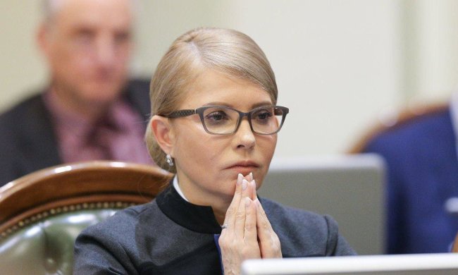В Крыму умерла любимица Тимошенко Тигрюля