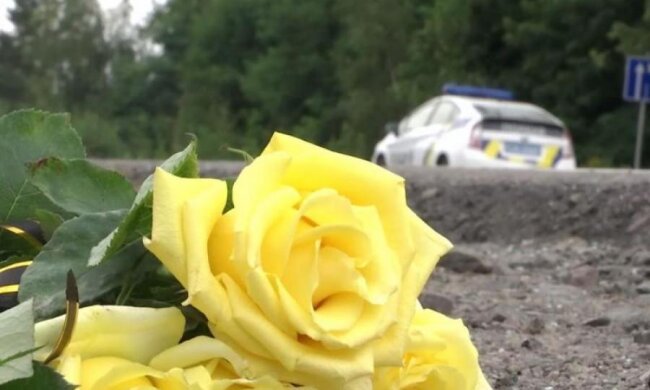 Смертельна ДТП: експертиза розкрила брехню Димінського