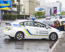 Донька Анатолія Гриценка потрапила в ДТП: перші подробиці