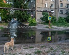 Вулиця Дніпра перетворилася в озеро з фонтаном, комунальники не поспішають – саме "минеться"