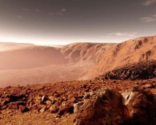 NASA відправить бджіл підкорювати Марс