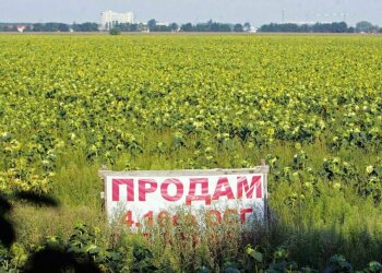рынок земли, фото: Needpix