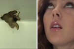 Жане и лапа опоссума, скрин с видео