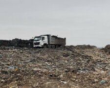 Грибовецьке сміттєзвалище під Львовом перетворять на квітучий сад