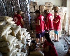 Transparency International требует расследовать коррупцию в Красном Кресте
