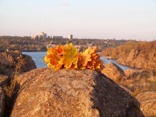 Погода в Запорожье 2 ноября: осень побалует город солнечным деньком, но недолго