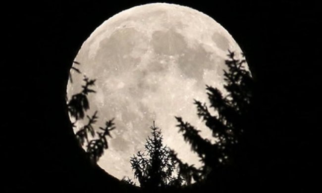 Місячне затемнення - вид  із космосу (відео) 