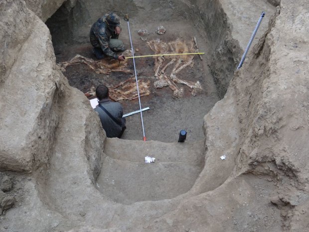Жерла динозаврів: археологи виявили останки прадавньої хижої істоти