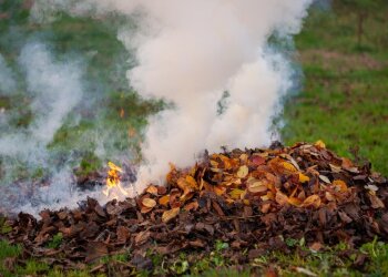 Поджог сухих листьев / фото: Freepik