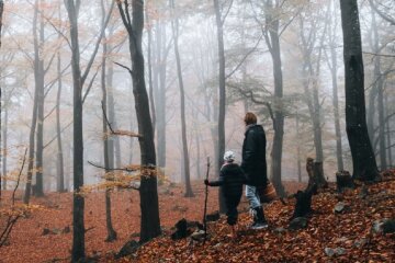Осень в лесу, скриншот: YouTube