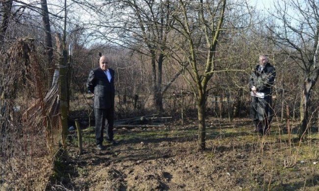 В аеропорту Ужгорода бігають зайці та ростуть городи - Москаль