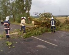 Стихія скалічила десятки українців
