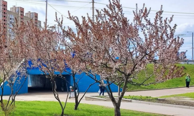 Украинцы, весна, фото из соцсетей