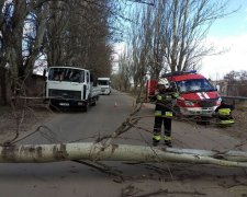 Популярний парк заманив львів'ян у смертельну пастку: оговтуються в лікарні