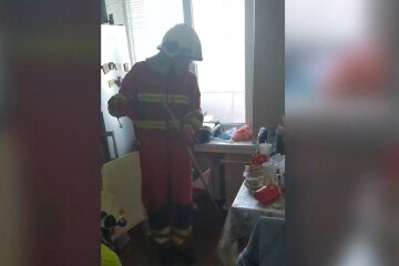 У Дніпрі змія-екстремалка заповзла на сьомий поверх і ледь не довела жінку до інфаркту