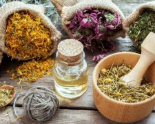 Как природные адаптогены влияют на организм