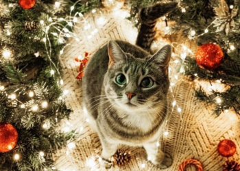 Гороскоп, изображение: Pinterest