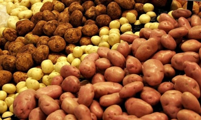 Чим шкідлива картопля з холодильника