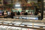 Обережно, таргани: полчища мерзенних комах тероризують одеситів, кадри не для гидливих