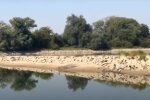 природа, скриншот из видео