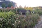Донбас-Арена літо 2020 року, фото: Facebook