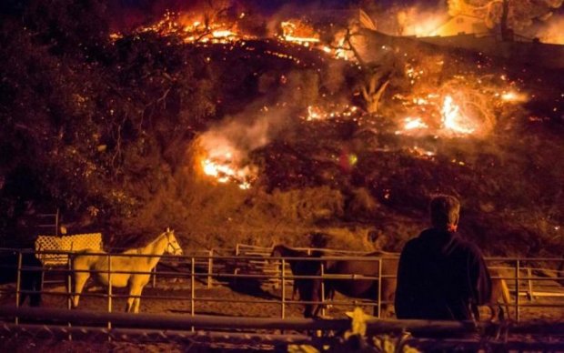 "Вогняний торнадо" знищив тисячі будинків, є загиблі