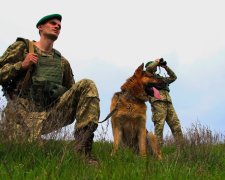 Українець поглумився над простором і законами логіки, щоб виїхати в Польщу: прикордонники плакали від сміху