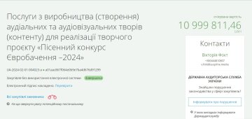 Тендер на Нацвідбір Євробачення. Фото скріншот з Prozorro