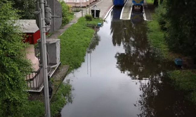 У ряді українських міст стався справжній потоп: ловлять карасів руками в парках